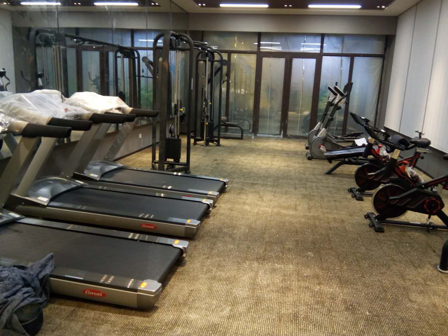 山东淄博恒台碧桂园凤凰酒店健身房 快猫APP下载安卓健身器材生产厂