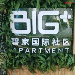 碧家国际社区健身房图片 快猫APP下载安卓企业健身器材案例